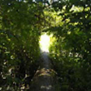 Meet your Posher, Dylan